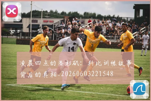 凌晨四点的洛杉矶：科比训练故事背后的真相_20260603221548