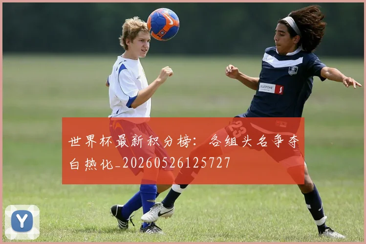 世界杯最新积分榜:各组头名争夺白热化_20260526125727